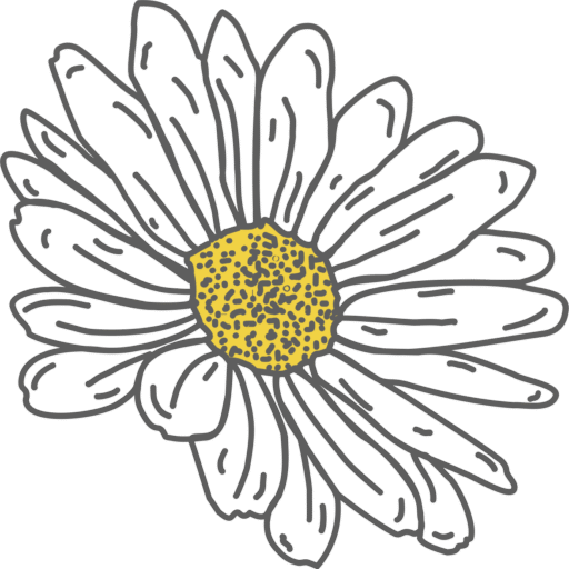 Daisy Connections